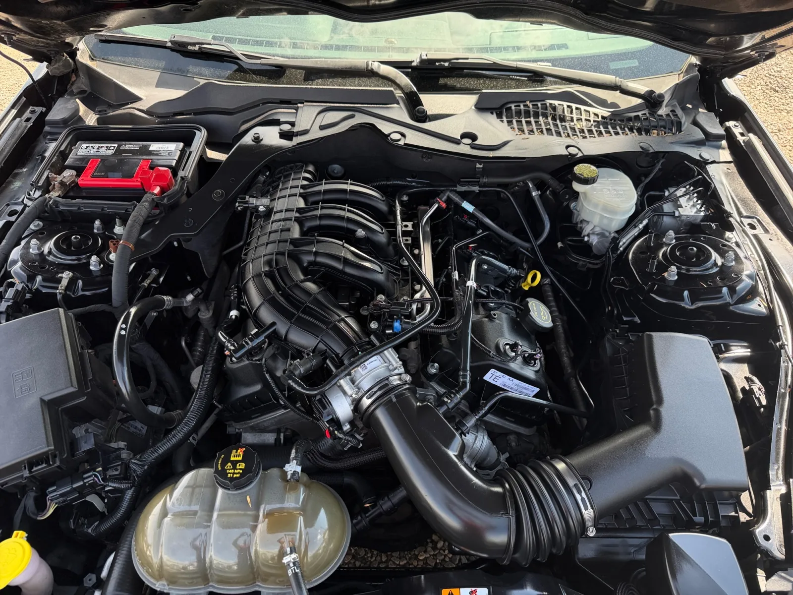 Ford Mustang photo 20