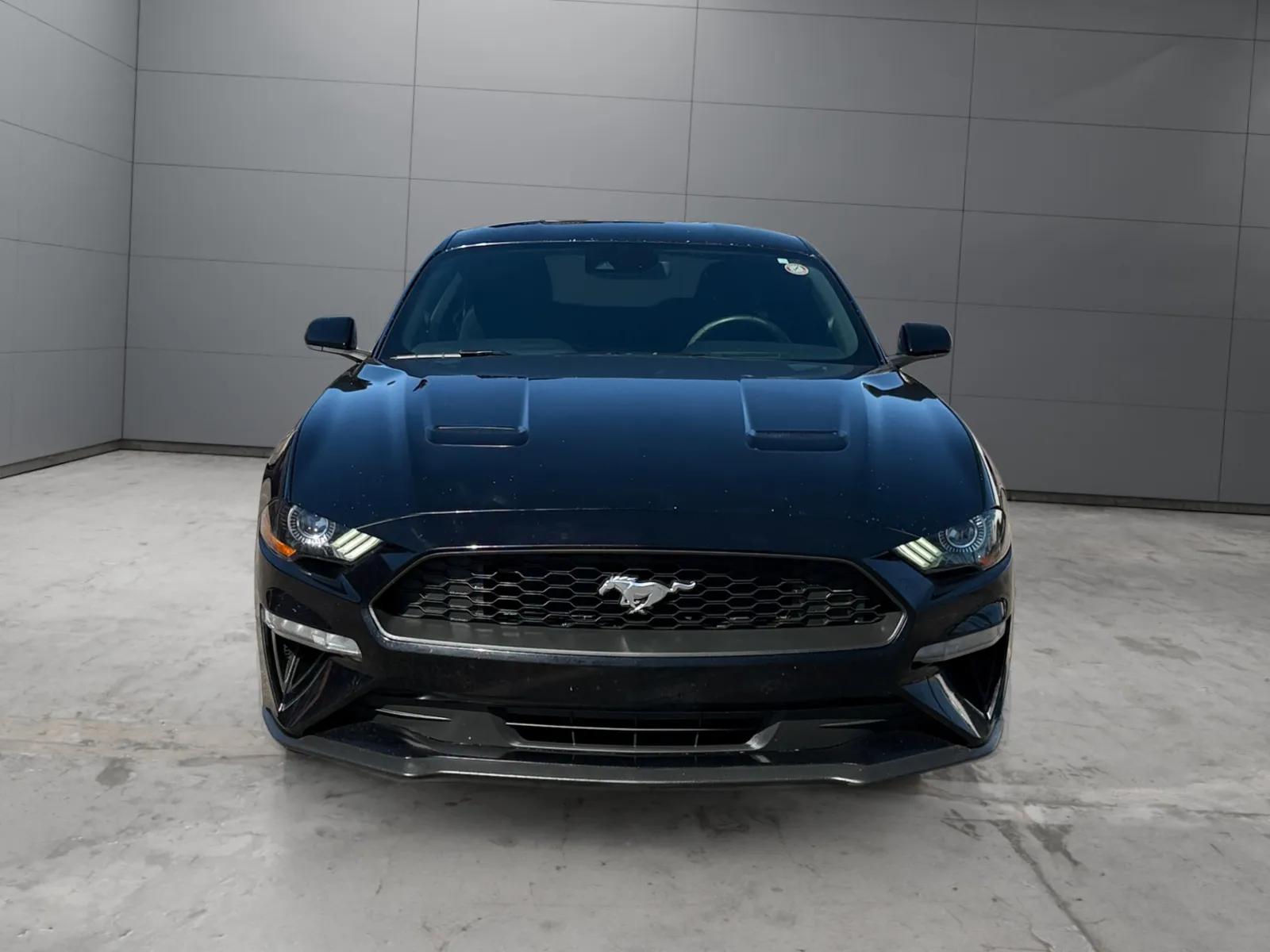 Ford Mustang photo 8