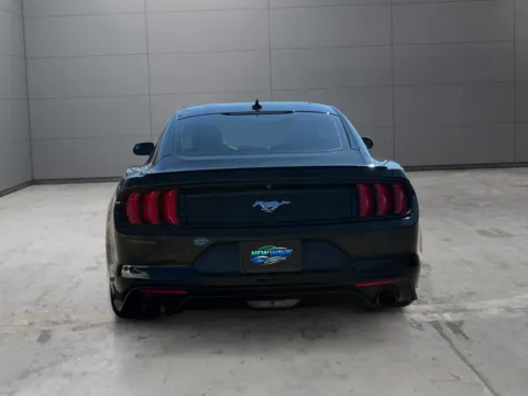 More photos of 2020 Ford Mustang EcoBoost Fastback at New Wave Automotive, CO