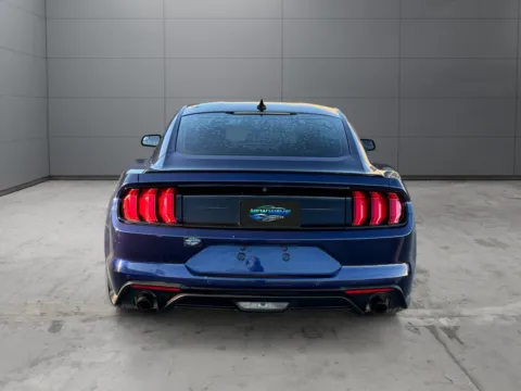 More photos of 2020 Ford Mustang EcoBoost Fastback at New Wave Automotive, CO