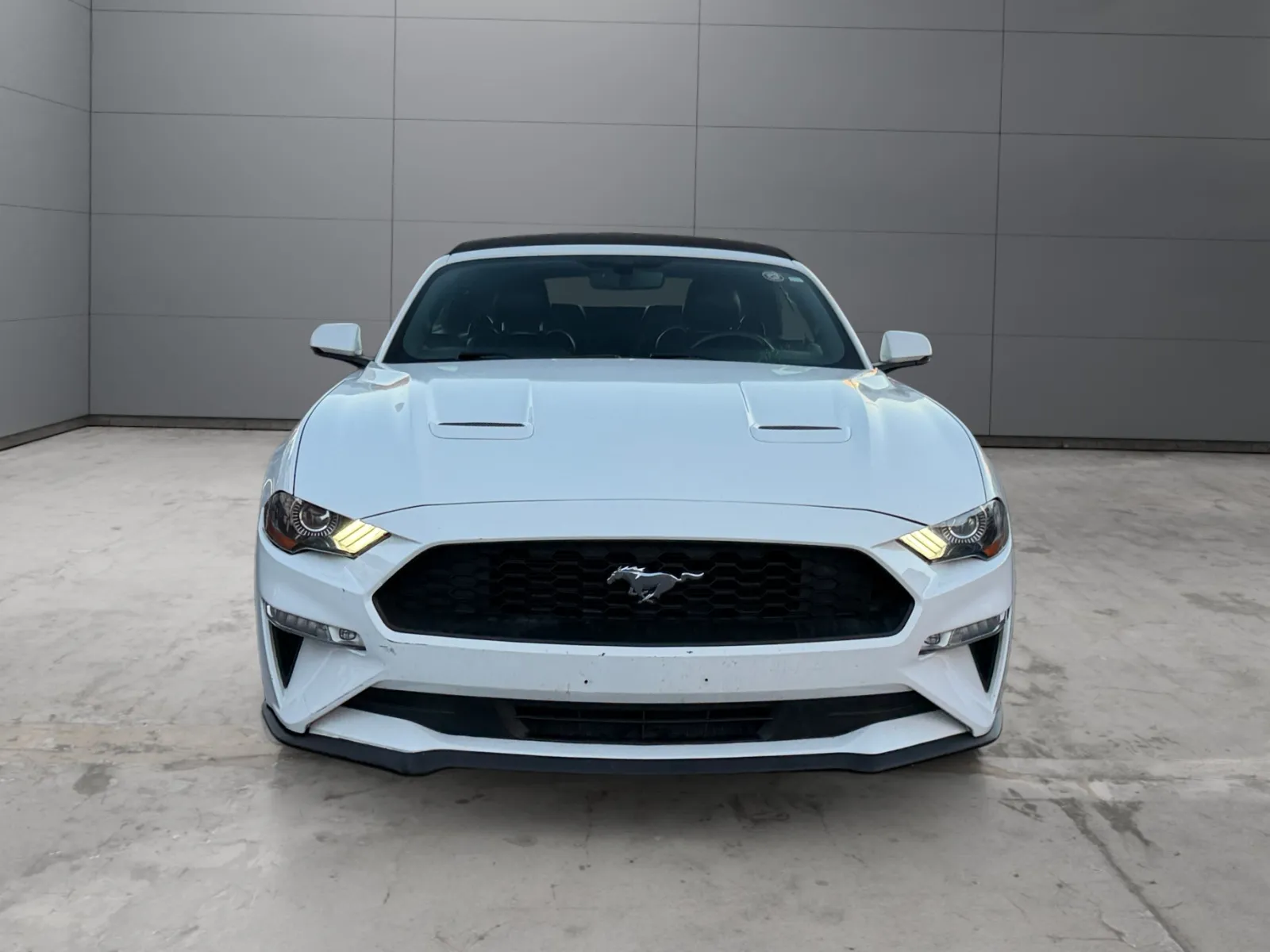 Ford Mustang photo 8