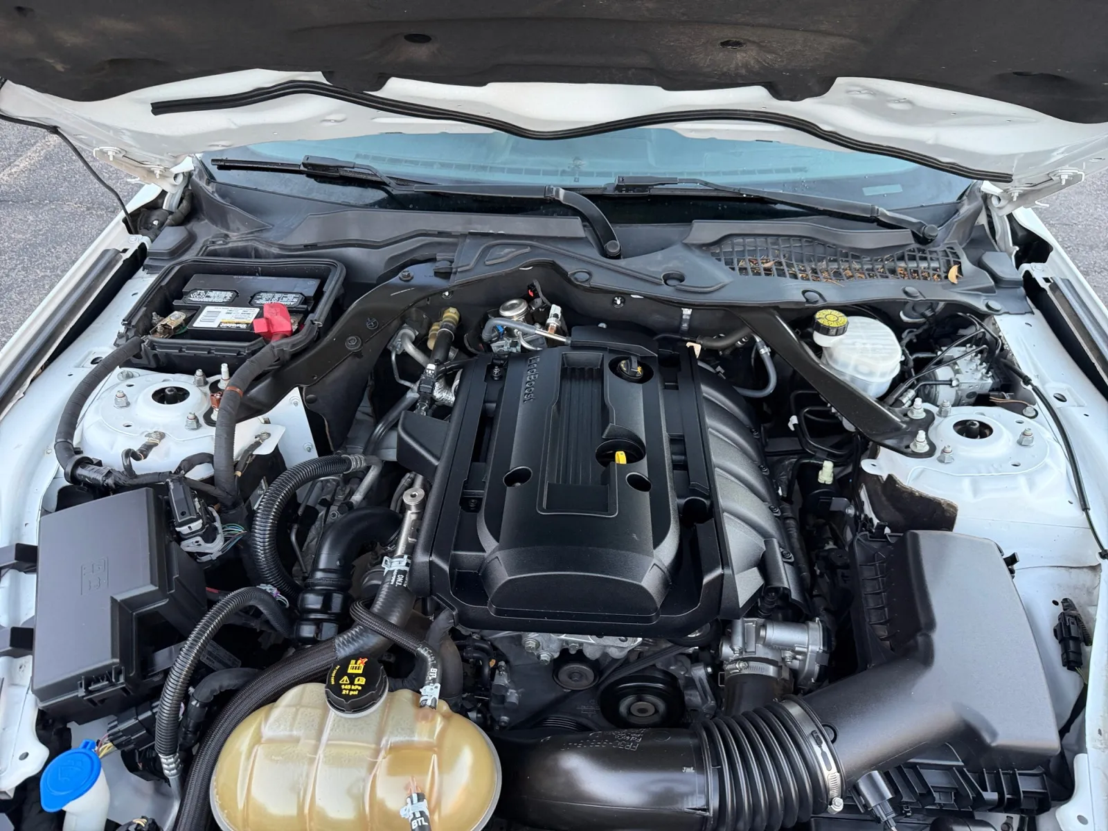 Ford Mustang photo 20