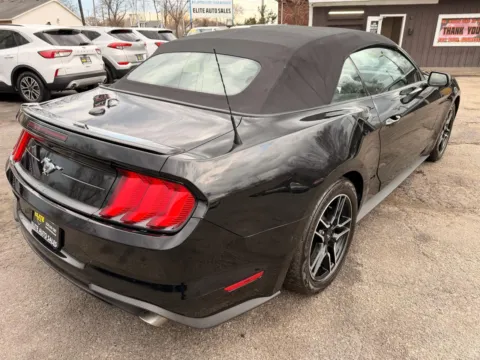More photos of 2022 FORD MUSTANG at Elite Auto Sales Hobart, IN