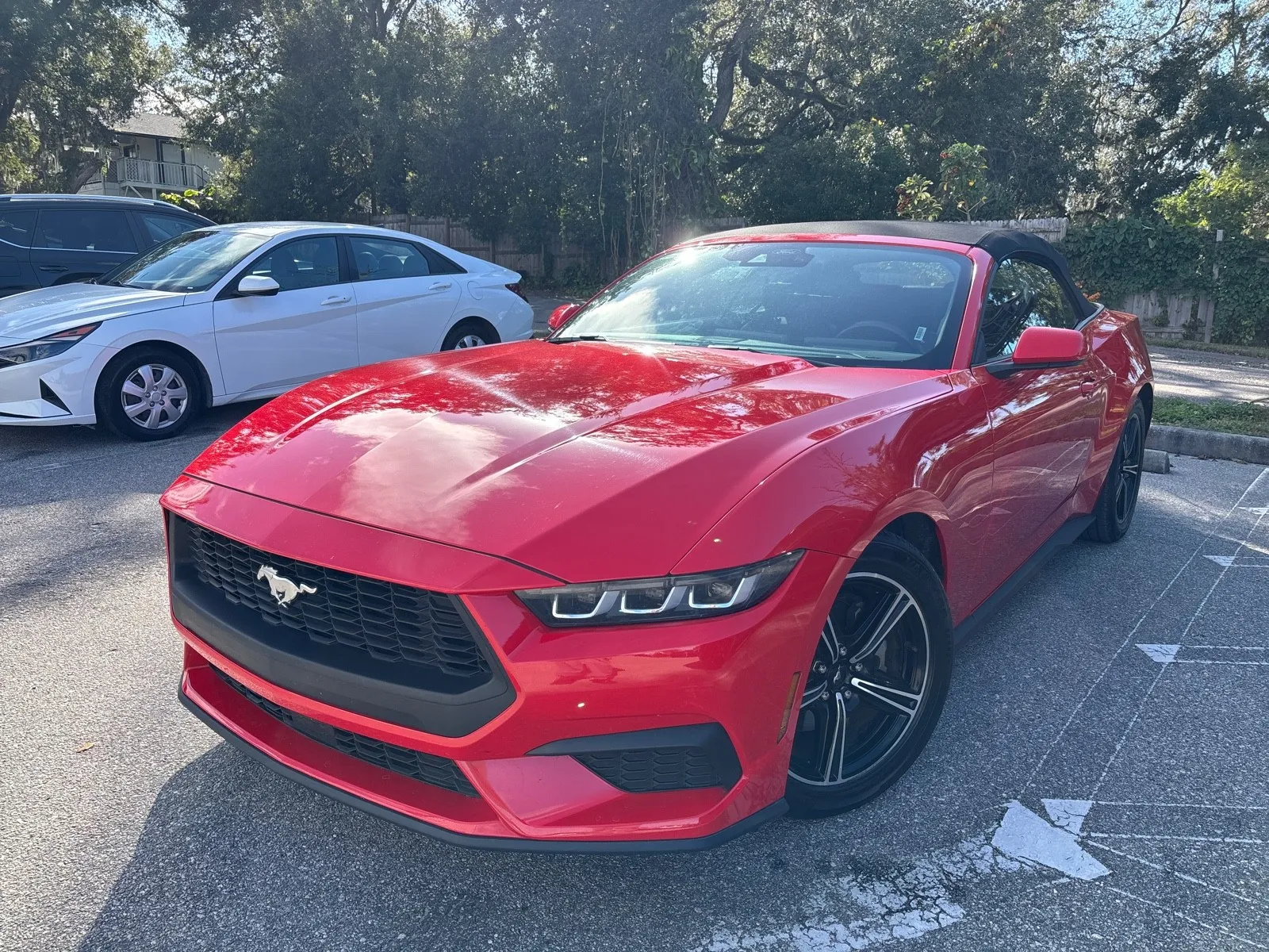 Red 2024 Ford Mustang EcoBoost Convertible for sale in Seffner, FL