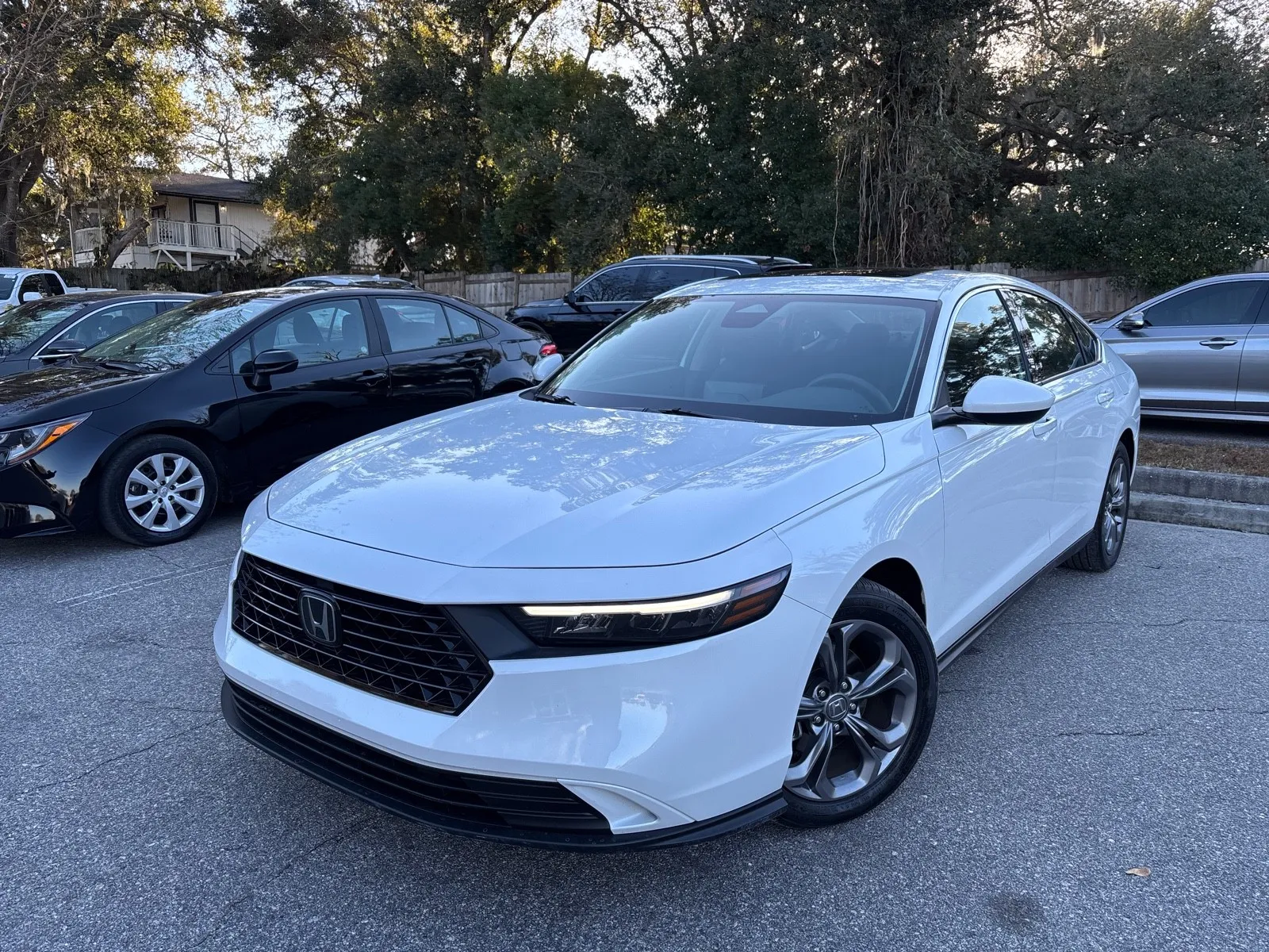 Blue 2024 Honda Accord Sedan EX for sale in Seffner, FL