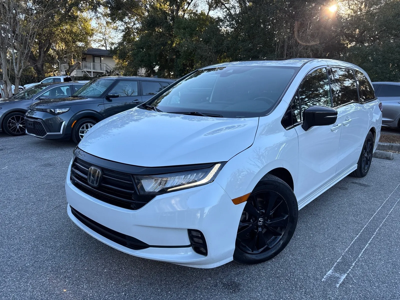 Blue 2023 Honda Odyssey Sport for sale in Seffner, FL