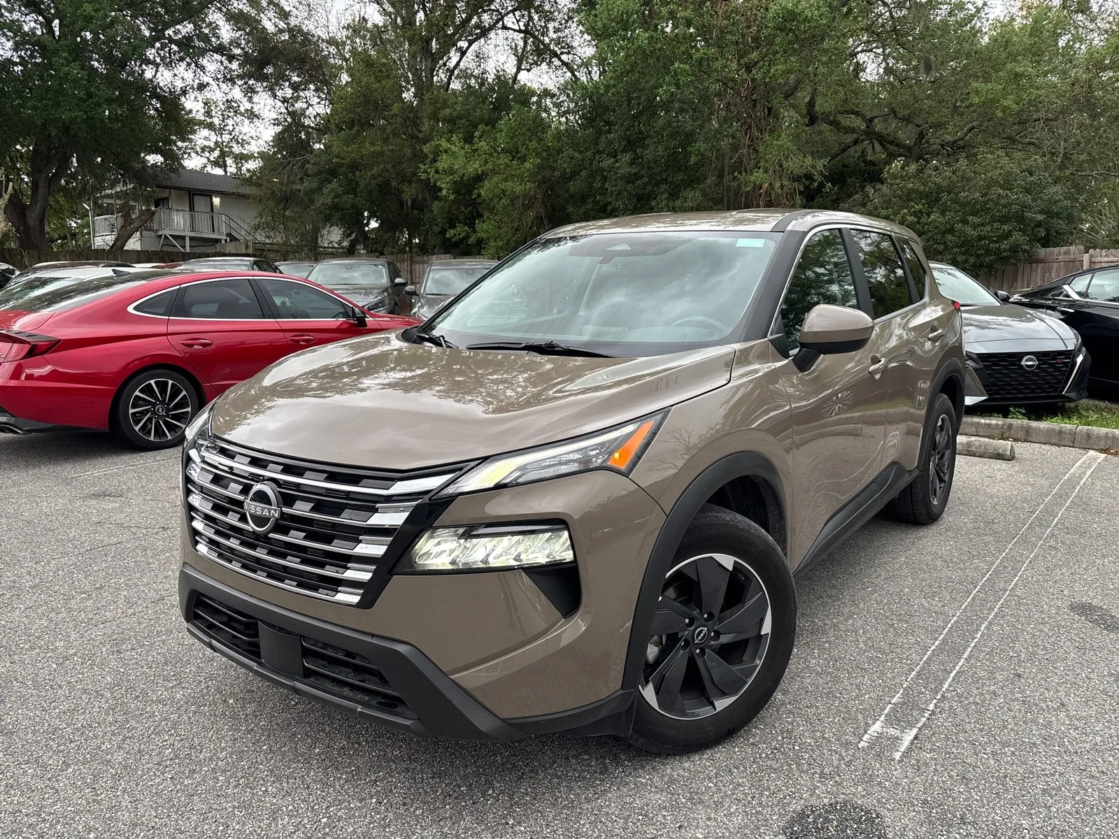 Beige 2025 Nissan Rogue SV AWD for sale in Seffner, FL