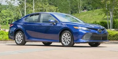 Silver 2019 Toyota Camry LE for sale in Seffner, FL