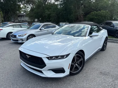 Gray 2024 Ford Mustang EcoBoost for sale in Seffner, FL