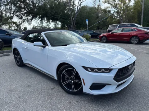 More photos of 2024 Ford Mustang EcoBoost at Evo Motors, FL