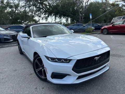More photos of 2024 Ford Mustang EcoBoost at Evo Motors, FL