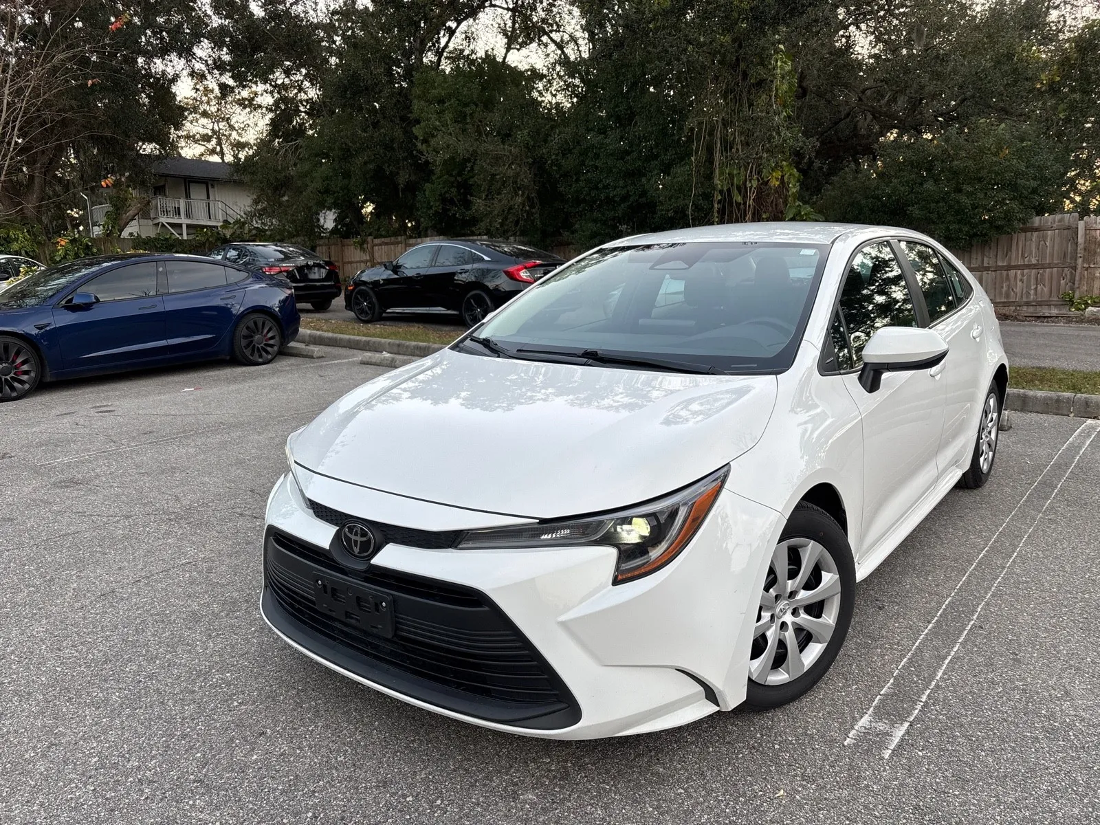 Red 2024 Toyota Corolla LE for sale in Seffner, FL