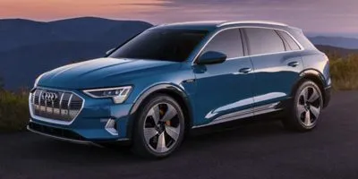 Gray 2019 Audi e-tron Premium Plus AWD for sale in Seffner, FL