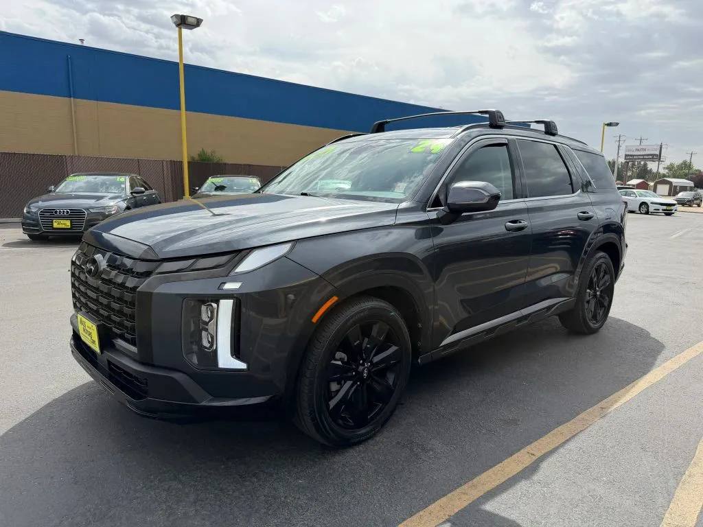 Hyundai Palisade photo 3
