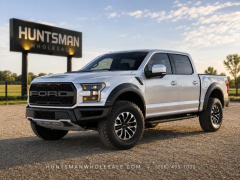 2019 Ford F-150 Raptor for sale in Melba, ID
