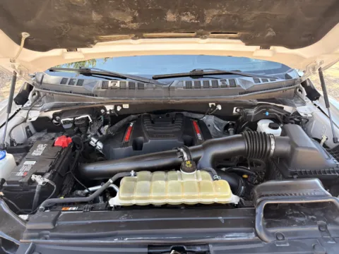 More photos of 2019 Ford F-150 Raptor at Huntsman Wholesale LLC, ID