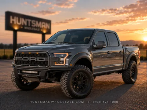 Gray 2018 Ford F-150 Raptor for sale in Melba, ID