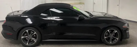 More photos of 2019 Ford Mustang EcoBoost at Ideal Cars - East Mesa (Hill), AZ