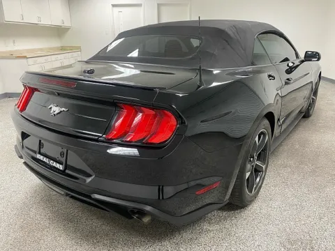 More photos of 2019 Ford Mustang EcoBoost at Ideal Cars - East Mesa (Hill), AZ