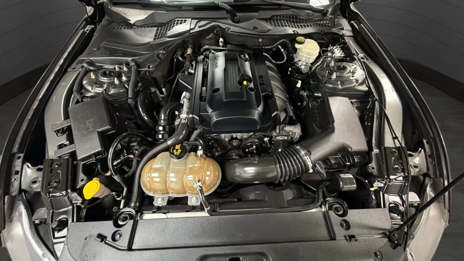 Ford Mustang photo 23