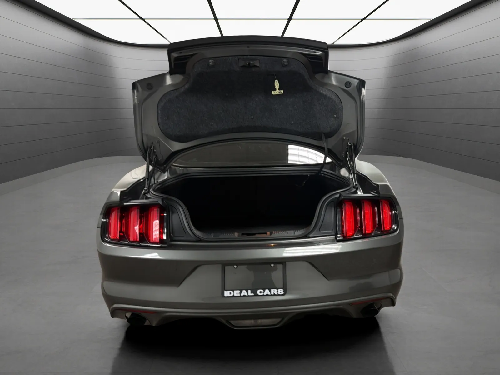 Ford Mustang photo 20