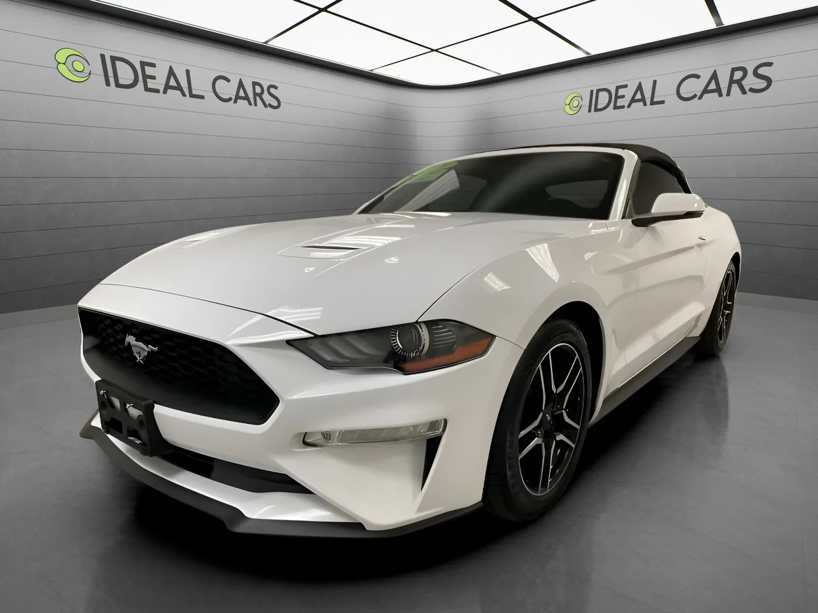 2019 Ford Mustang EcoBoost Convertible Premium's photo