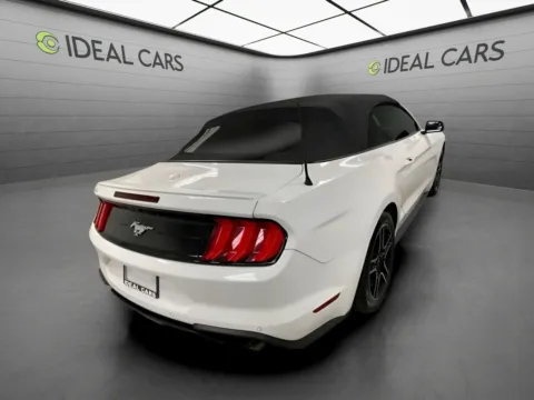 More photos of 2019 Ford Mustang EcoBoost Premium at Ideal Cars - at Crismon Rd., AZ