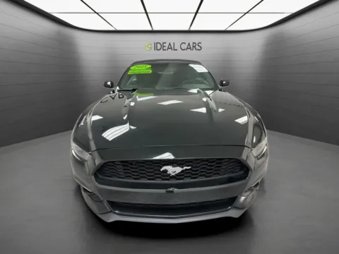 Photos of 2015 Ford Mustang V6 for sale in Mesa, AZ at Ideal Cars - at Crismon Rd.