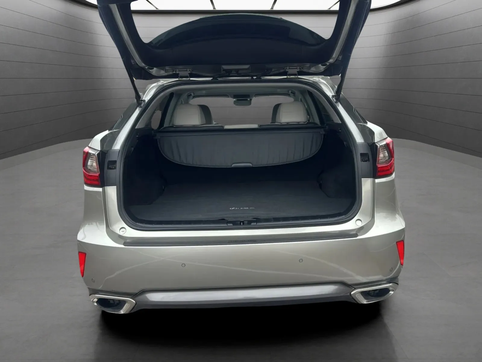 Lexus RX photo 18