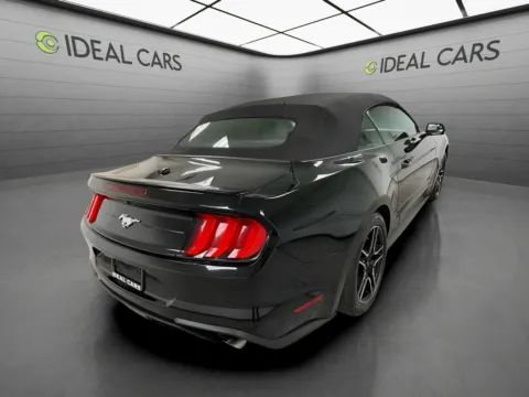 More photos of 2019 Ford Mustang EcoBoost Premium at Ideal Cars - at Gilbert Rd, AZ