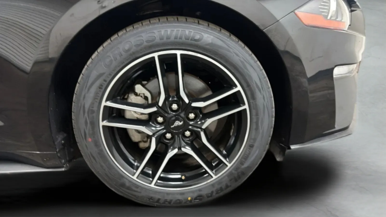 Ford Mustang photo 26