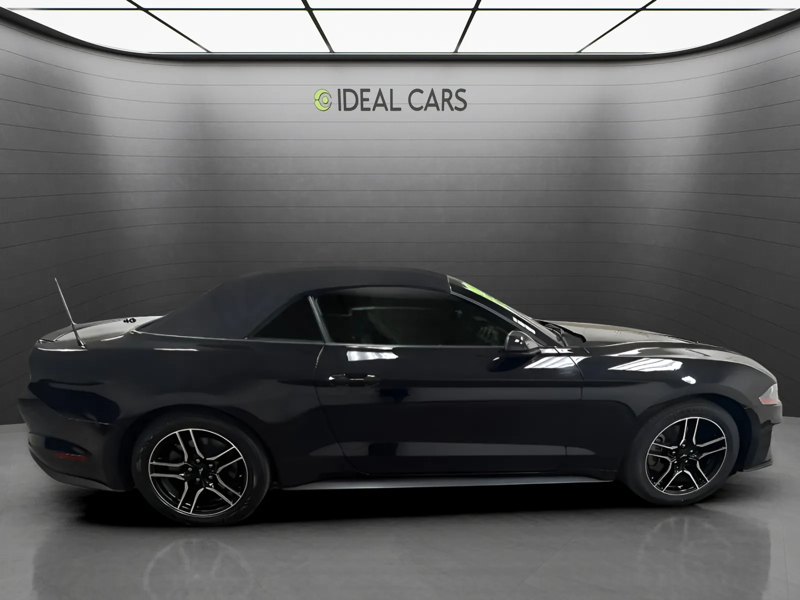 Ford Mustang photo 5