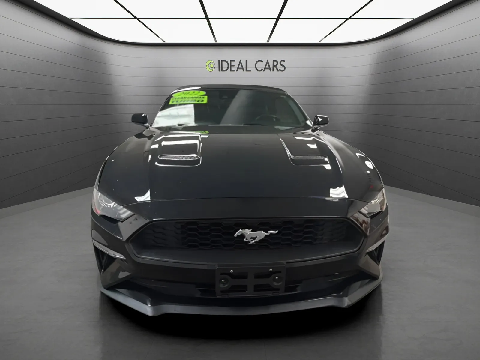 Ford Mustang photo 3