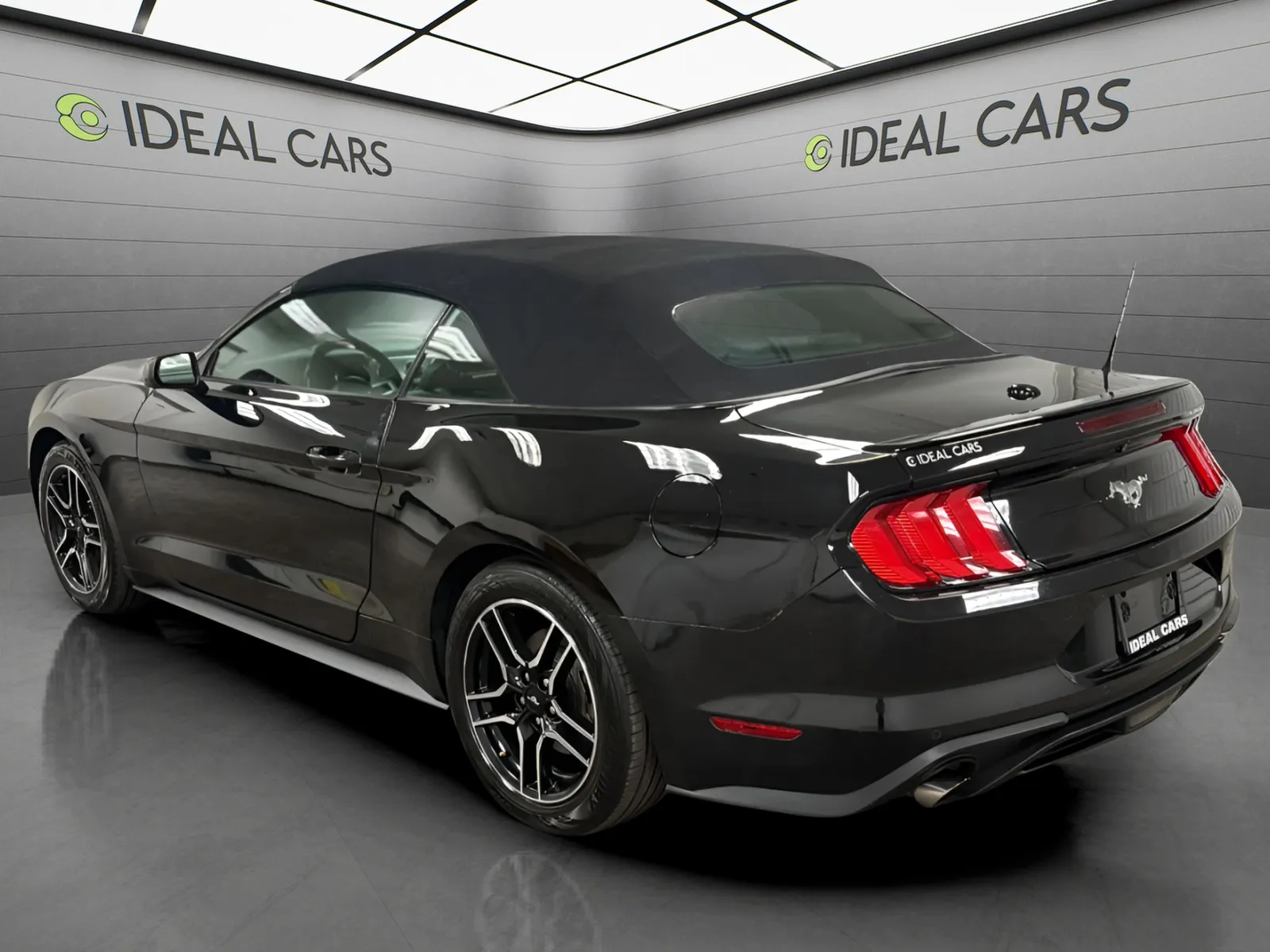 Ford Mustang photo 8