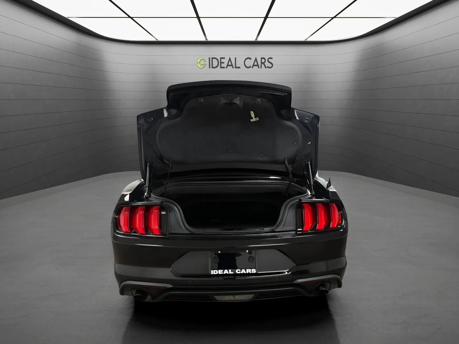 Ford Mustang photo 7