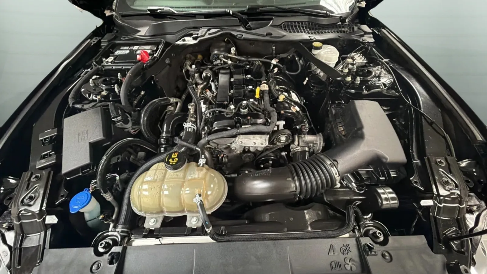 Ford Mustang photo 24