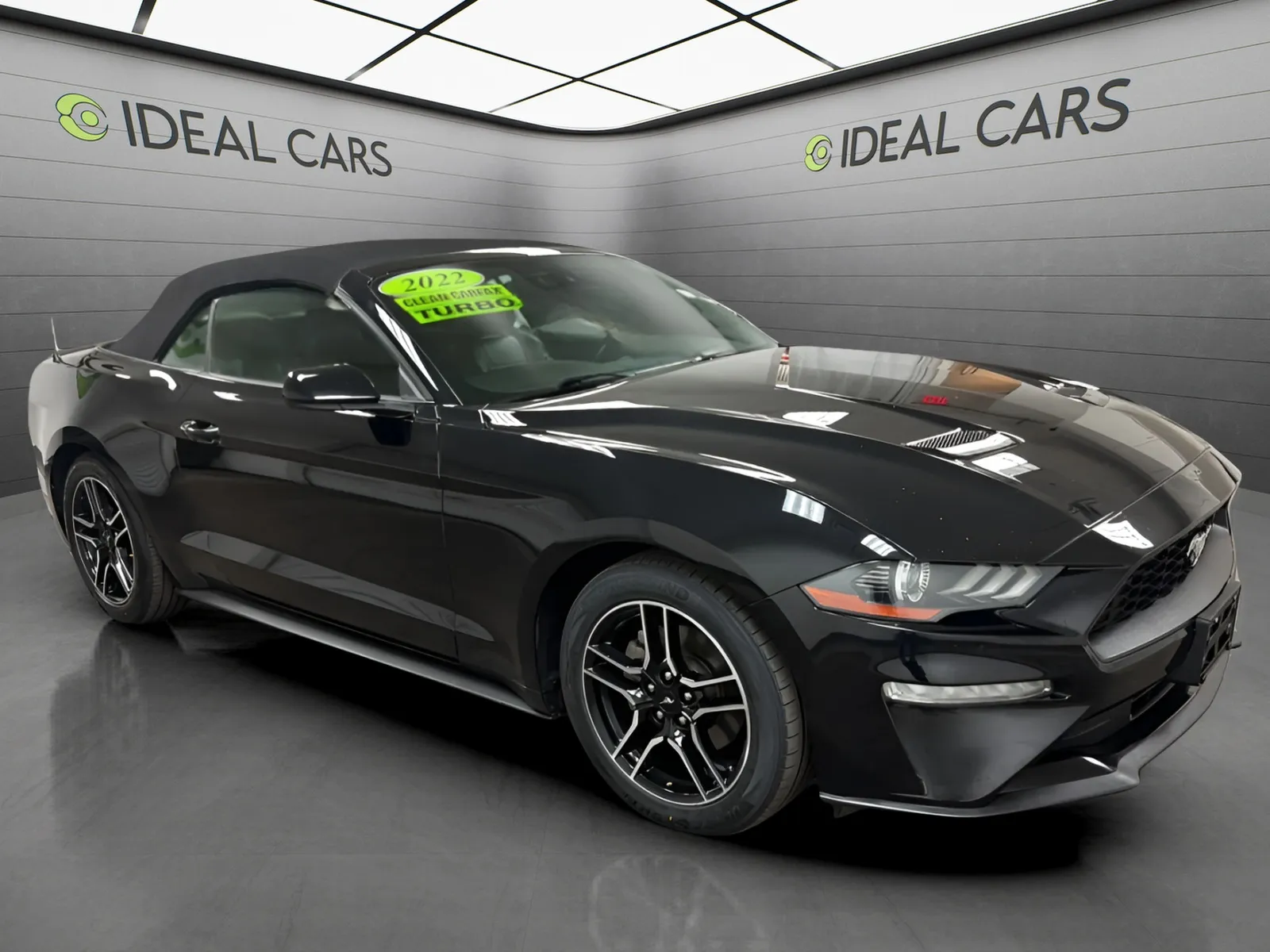 Ford Mustang photo 4