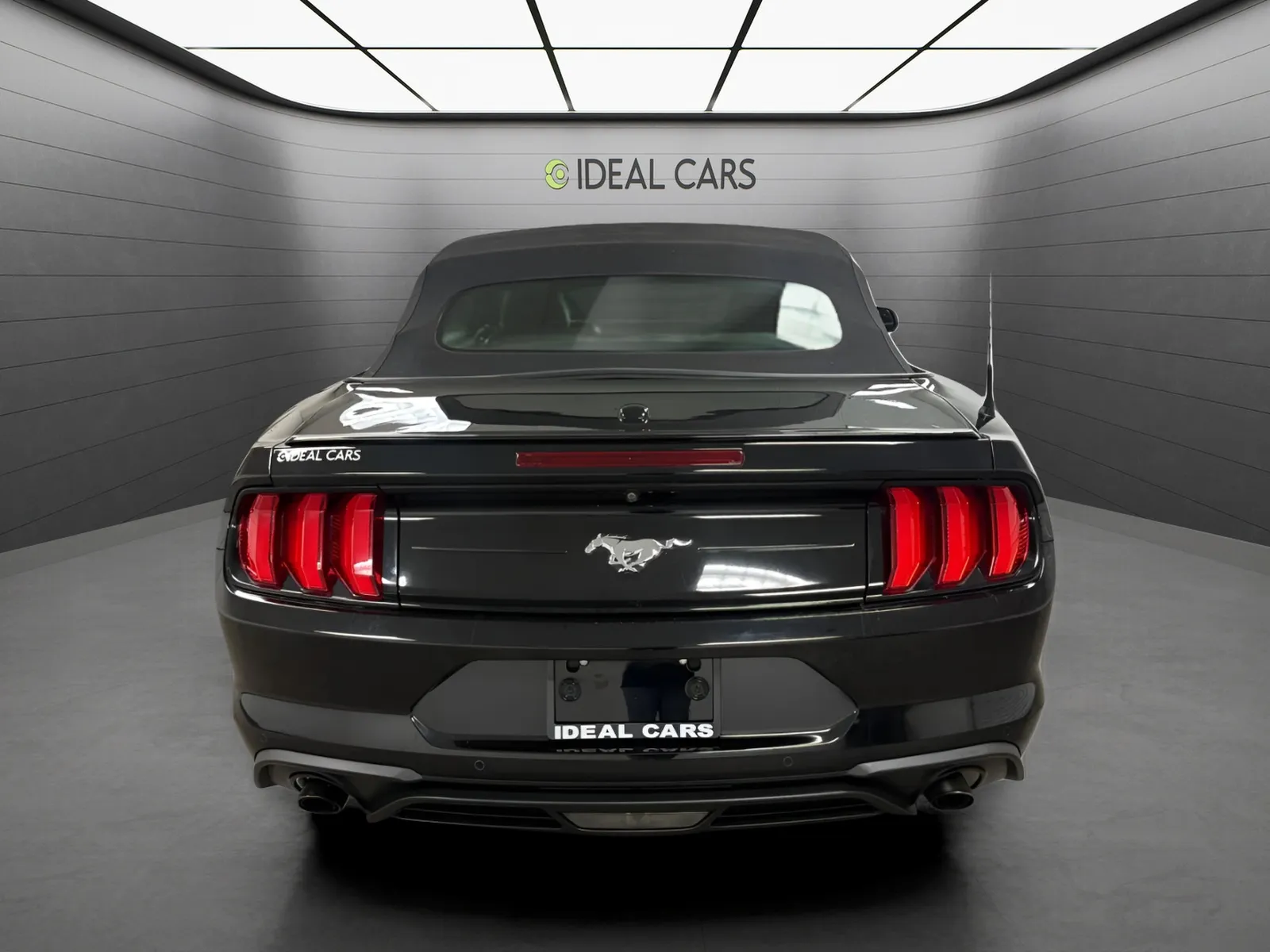 Ford Mustang photo 2