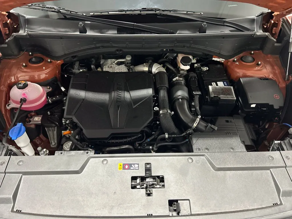 Hyundai Santa Fe photo 25