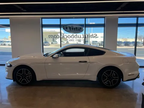 More photos of 2020 FORD MUSTANG at Shift Automotive Group, TX