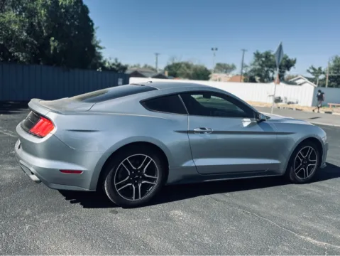 More photos of 2020 FORD MUSTANG PREMIUM at Shift Automotive Group, TX