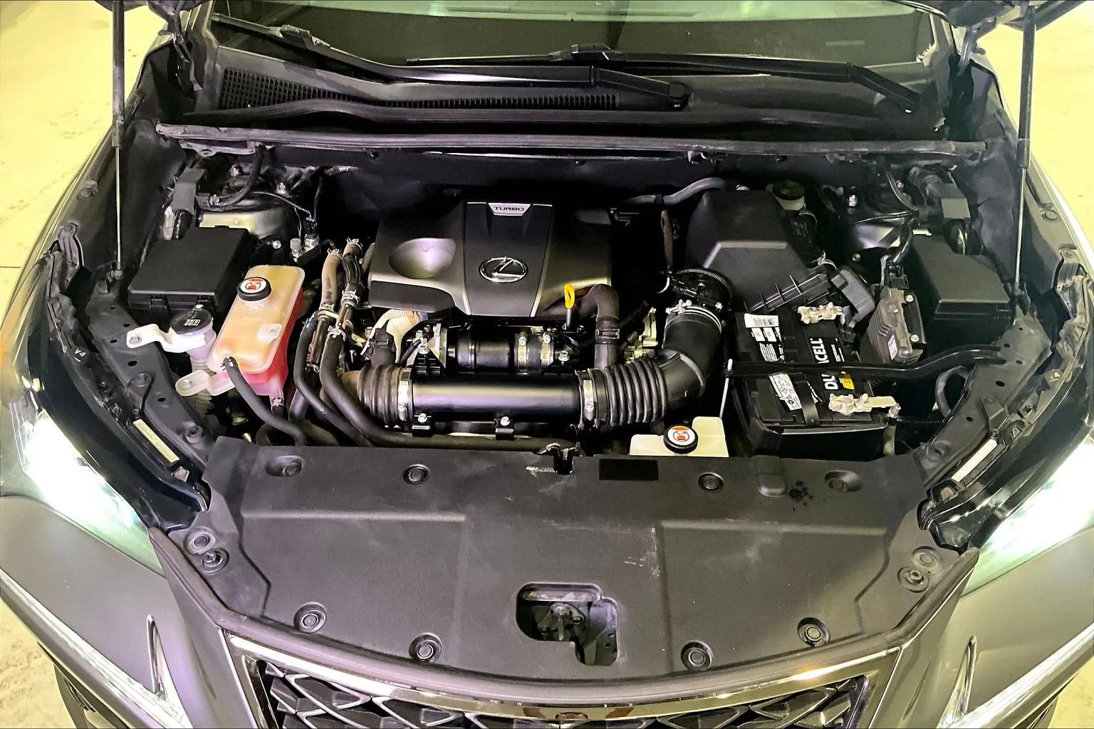 Lexus NX photo 31
