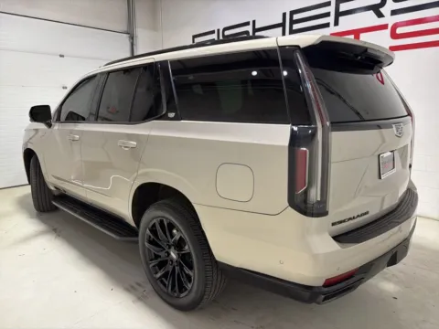 More photos of 2021 Cadillac Escalade Sport at Fishers Imports - North East, IN