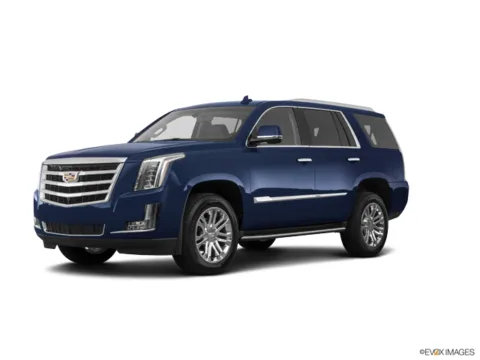 Blue 2020 Cadillac Escalade Luxury for sale in Fishers, IN