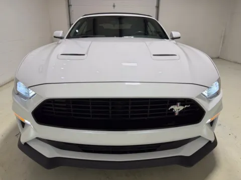 More photos of 2019 Ford Mustang GT Premium at Fishers Imports - North East, IN