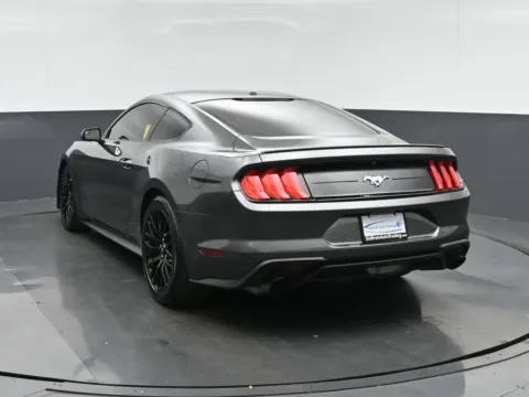 More photos of 2018 Ford Mustang EcoBoost at Sullivan Auto Trading Fredericksburg, VA