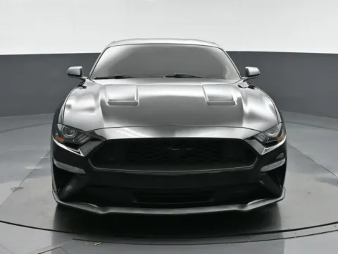 Photos of 2019 Ford Mustang EcoBoost for sale in Fredericksburg, VA at Sullivan Auto Trading Fredericksburg