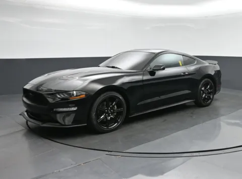 Another view of 2019 Ford Mustang EcoBoost for sale in Fredericksburg, VA at Sullivan Auto Trading Fredericksburg
