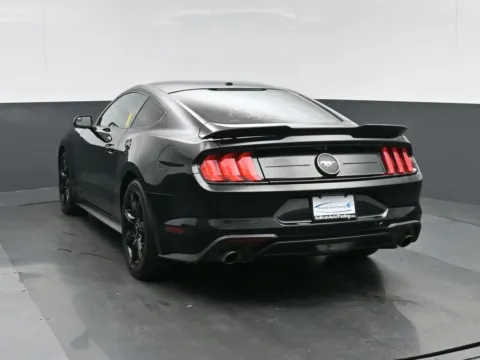 More photos of 2019 Ford Mustang EcoBoost at Sullivan Auto Trading Fredericksburg, VA