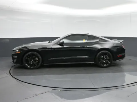 More photos of 2019 Ford Mustang EcoBoost at Sullivan Auto Trading Fredericksburg, VA